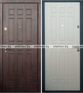 Дверь Стальная Премиум 9